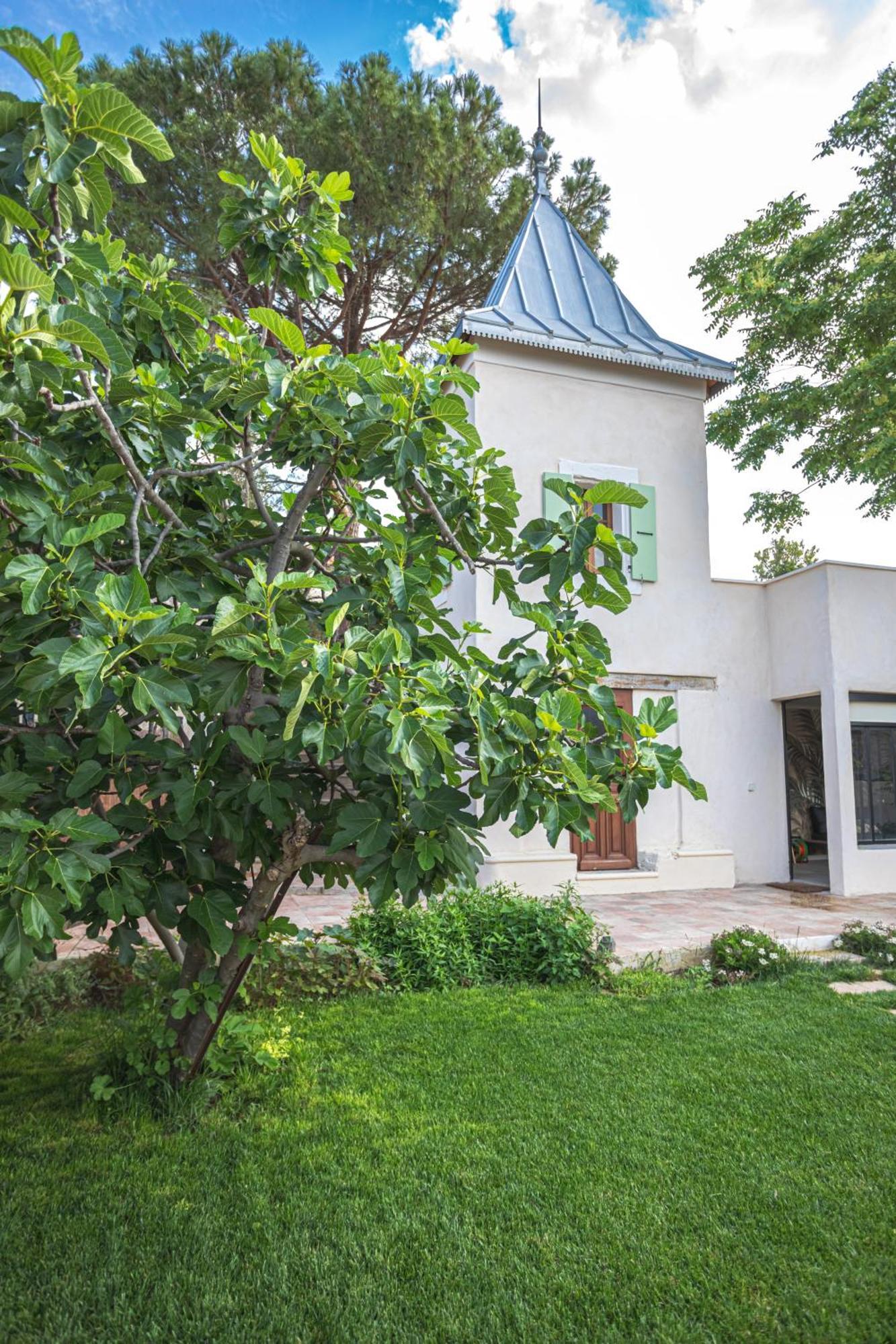 Ouveillan Maison D'Hotes Ovillage المظهر الخارجي الصورة